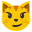 :cat_face_with_wry_smile: 😼